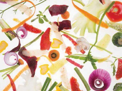 Haz click acá para descargar la guía